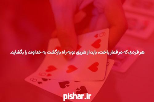 سایت شرط بندی تینی بت