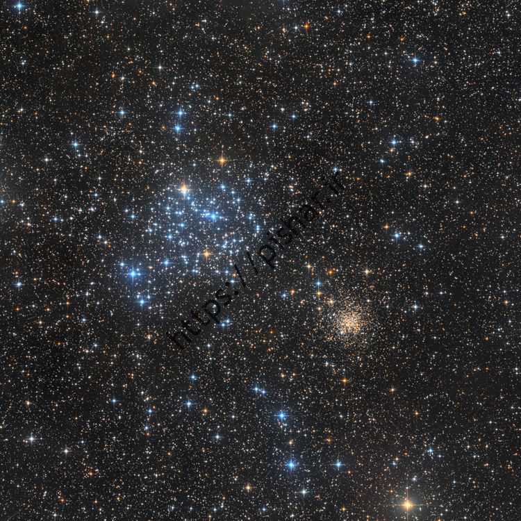 Khusha Star I Buzz M35